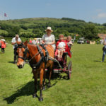 Strawberry Queen in pony carriage