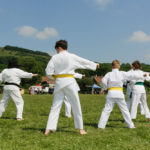 local Karate club demonstration