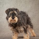 This is Madge’s sister. She wants her very own family too.