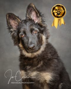 Finalist in competition - GSD